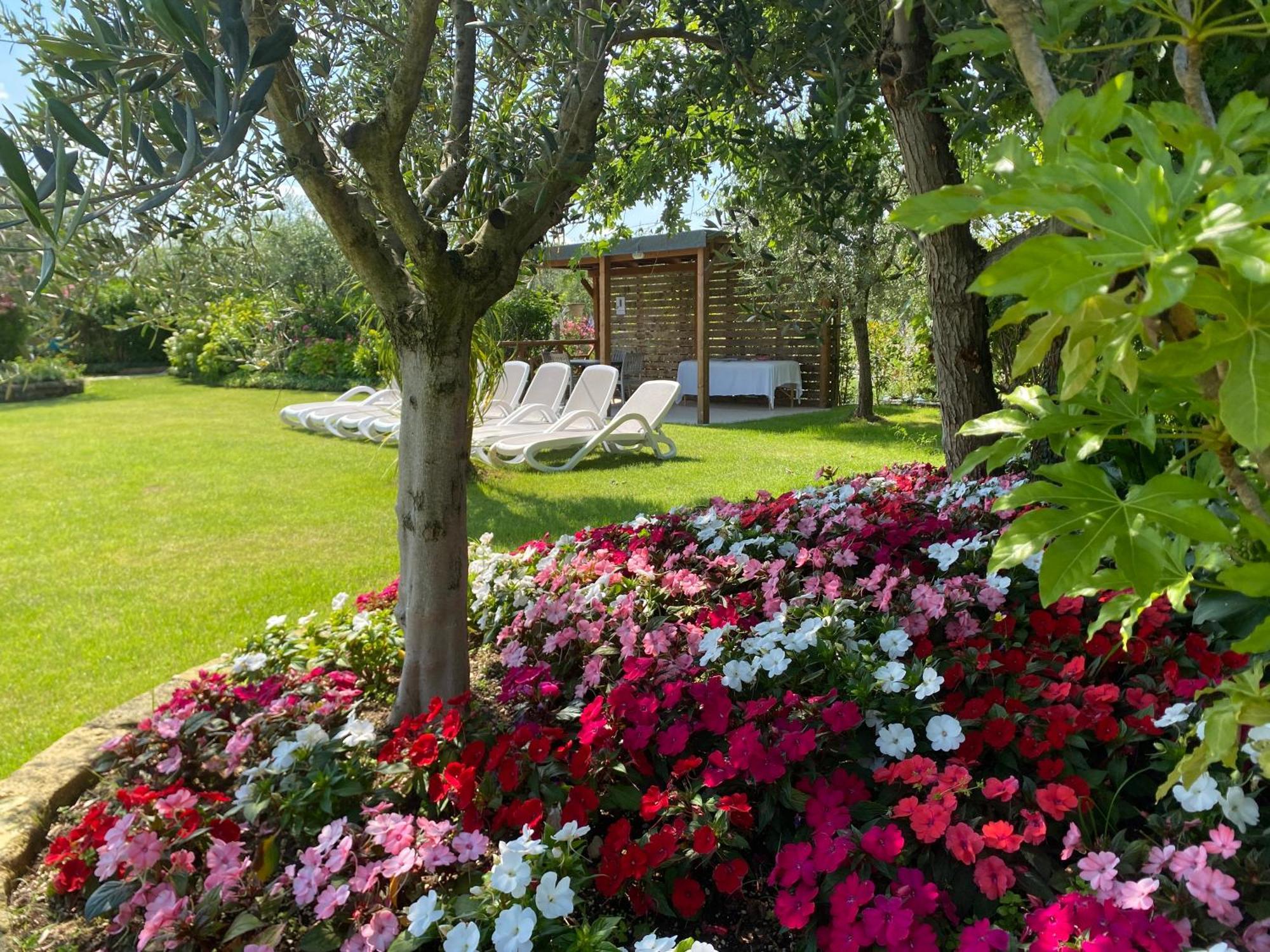 Agricampeggio Oasi Del Garda Lazise Luaran gambar