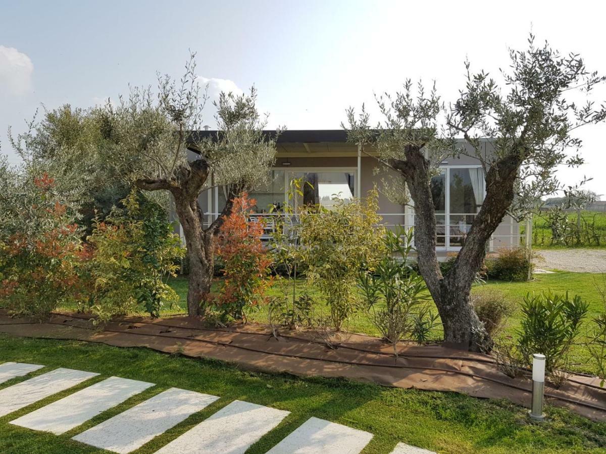 Agricampeggio Oasi Del Garda Lazise Luaran gambar